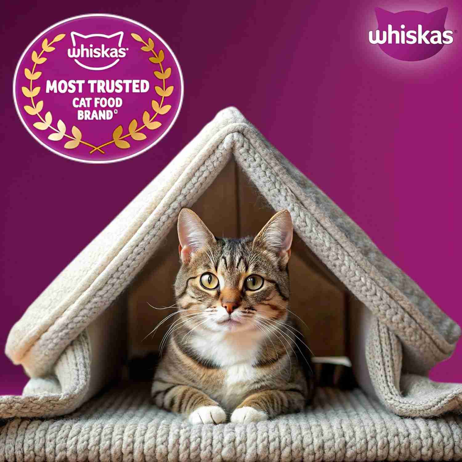 Whiskas Ocean Fish Flavour Adult Cat Dry Food