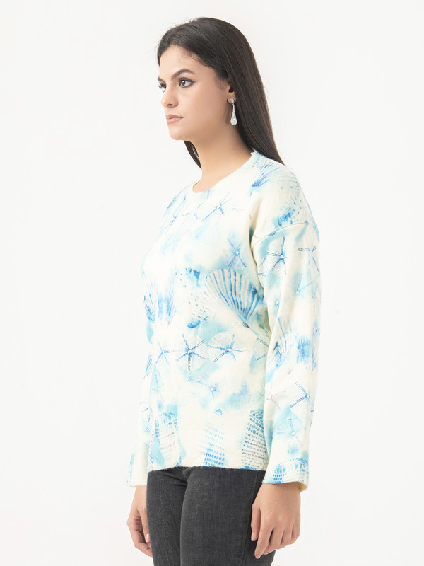 Albion Women Winter Multi Sweaters