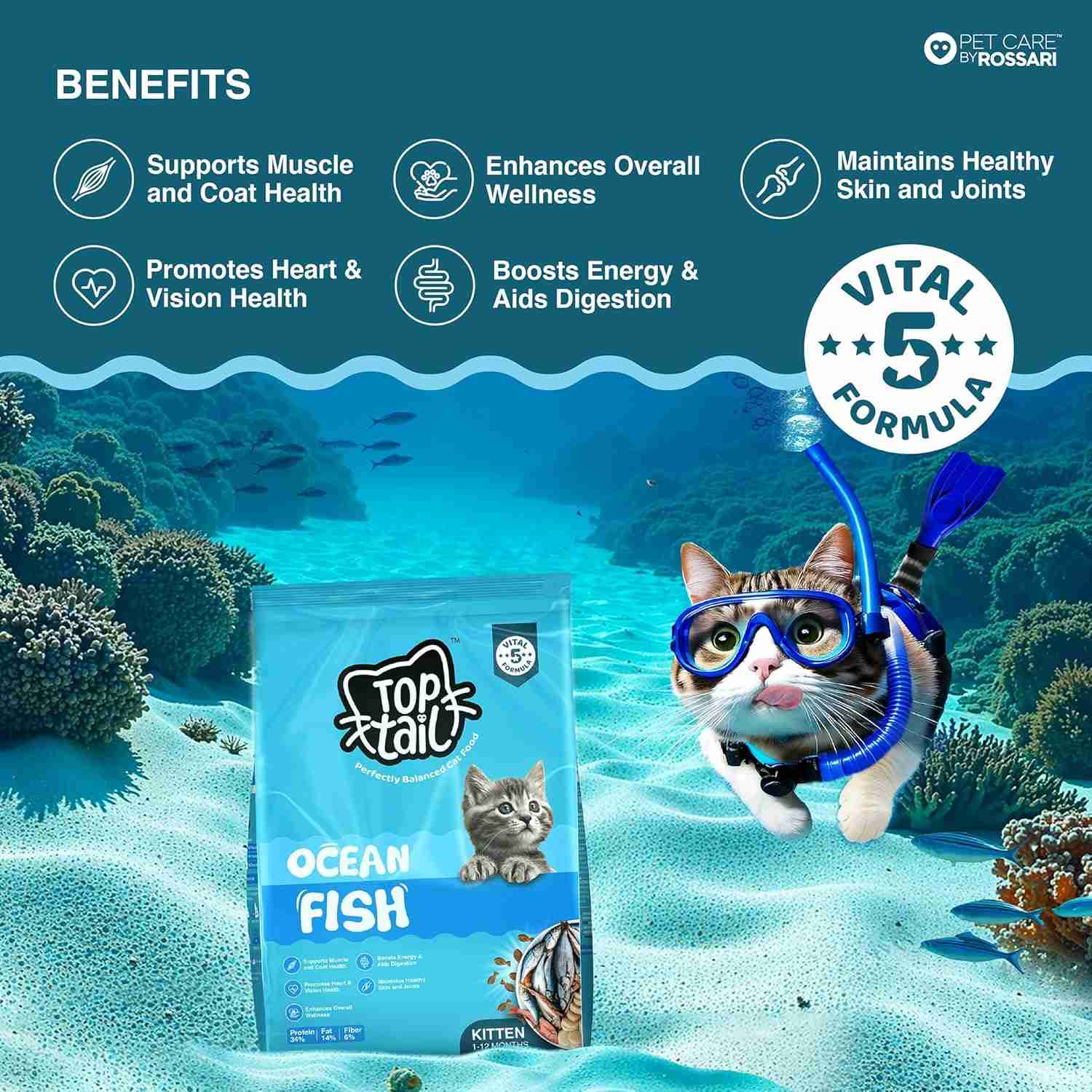 Top tail Kitten Ocean Fish Dry Food for Cats
