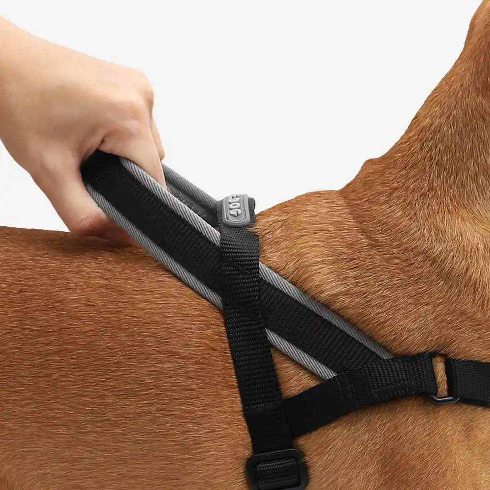 Zee.dog Softer Walk Harness Gotham for Dogs