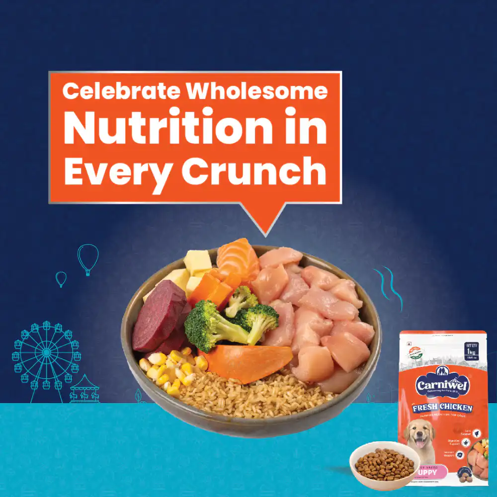 Carniwel Fresh Chicken Puppy Large dogs 1kg – (Best Before Jul’26)