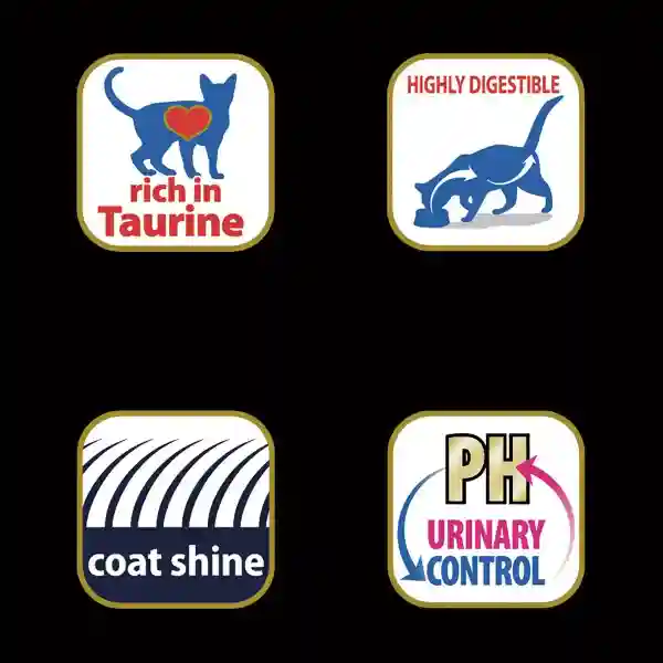 Matisse Neutered Adult Cat Food Salmon