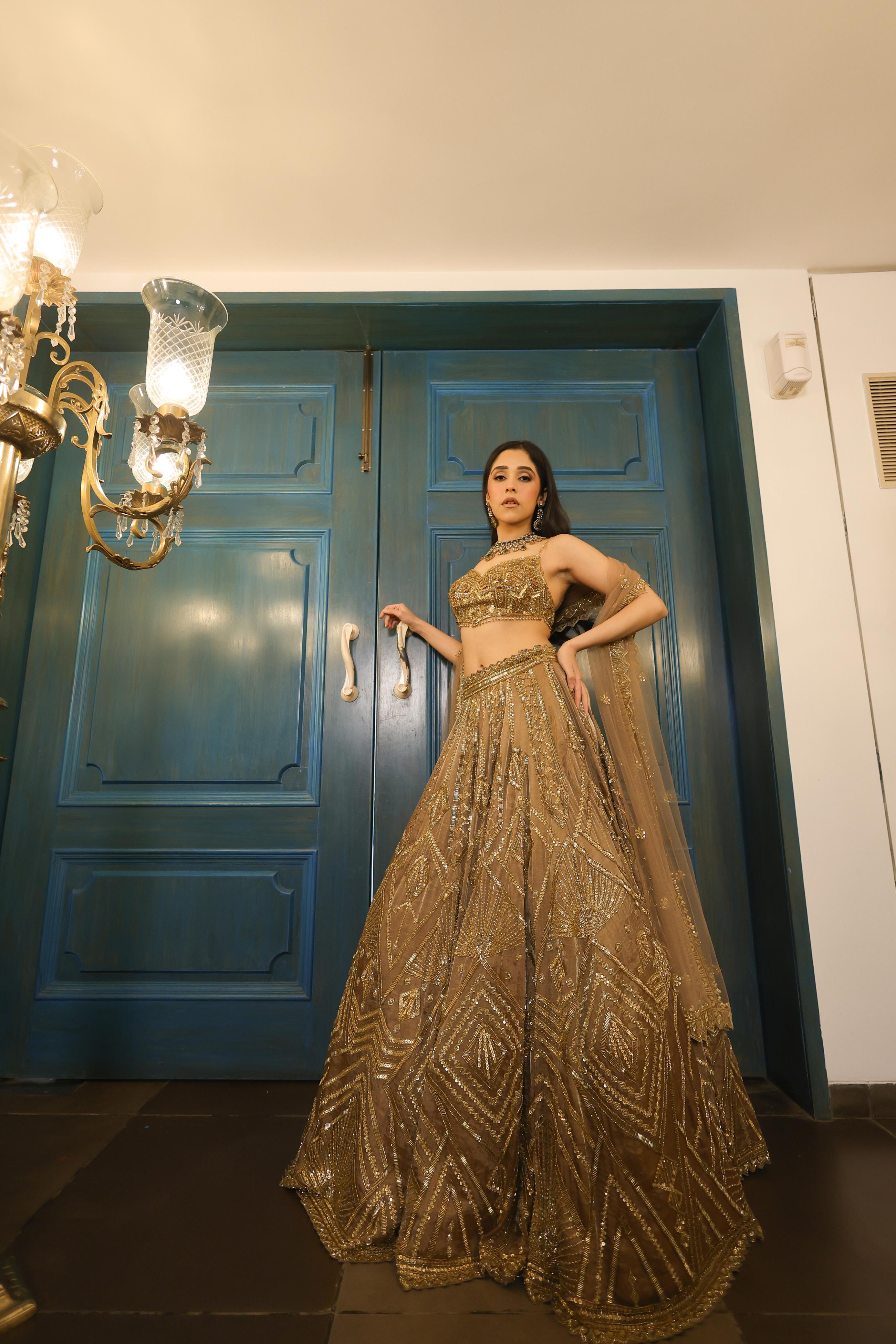 Mocha Tissue Lehenga
