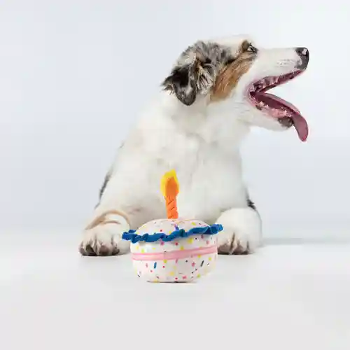 Barkbutler Fofos Birthday Cake Plush Toy for Dogs