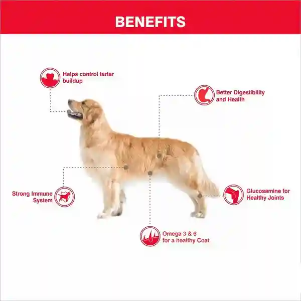 Drools Dog Sausage Real Chicken Treats - 250 GM