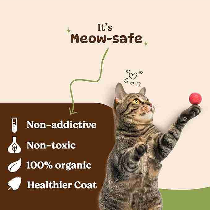 Gnawlers Catnip for Cat 30g
