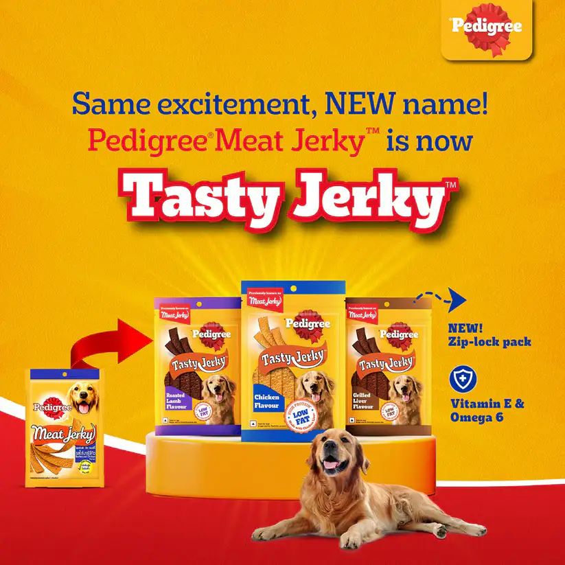 Pedigree Tasty Jerky Adult Grilled Liver Dog Treat - 70gm