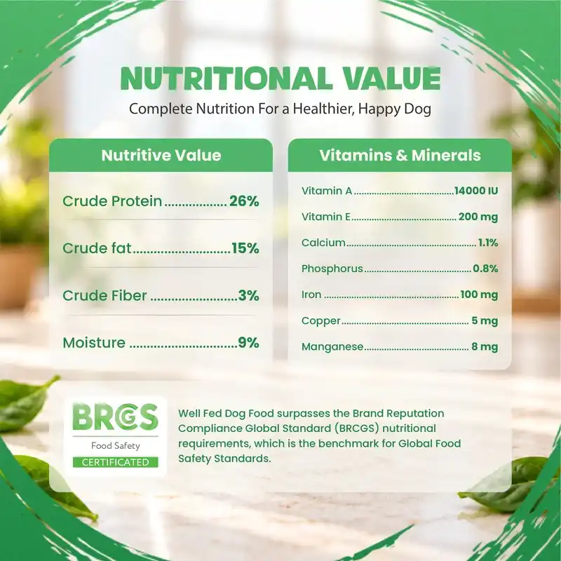 Well Fed Beneficial Grain Salmon and Veggies Dry Food for Dogs