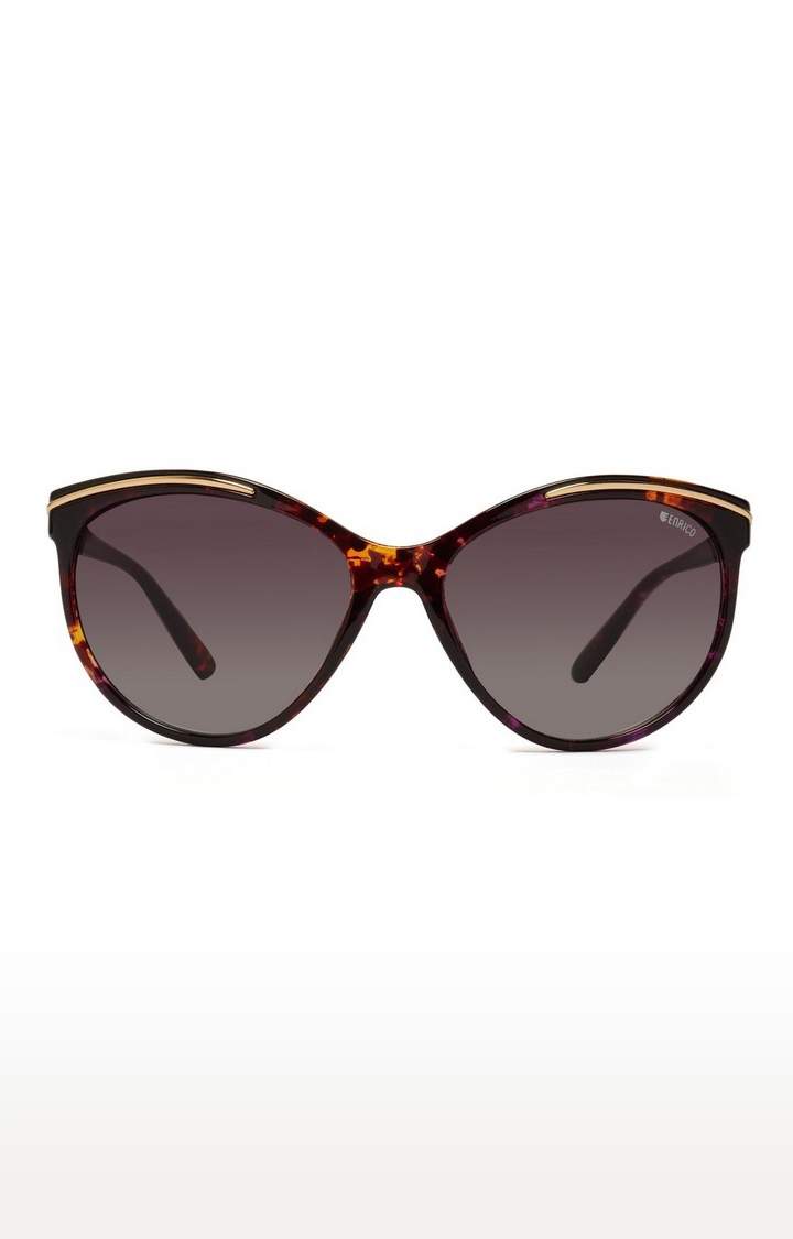 ENRICO | Enrico Hazard Uv Protected Cateye Sunglasses For Women ( Lens - Purple | Frame - Brown) 1