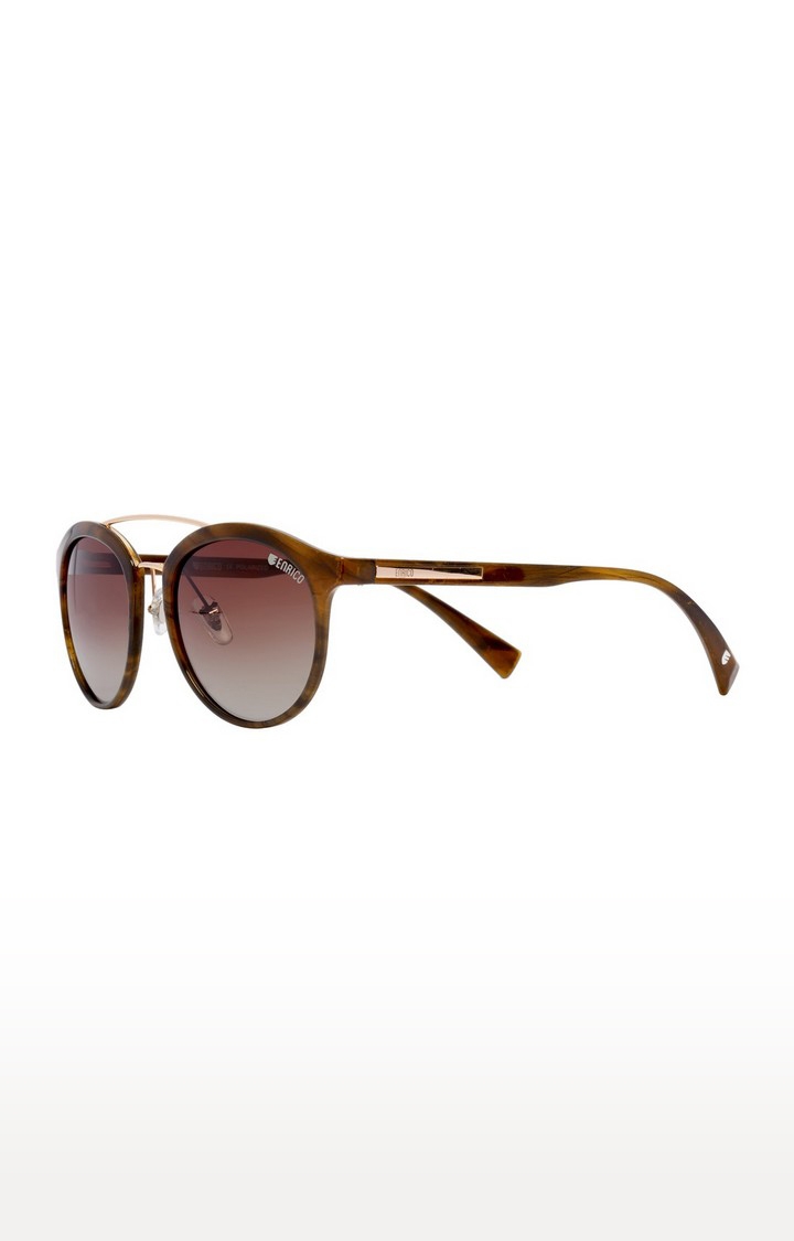 ENRICO | Enrico Muscat Uv Protected Wayfarer Shape Sunglasses For Women ( Lens - Brown | Frame - Brown) 2