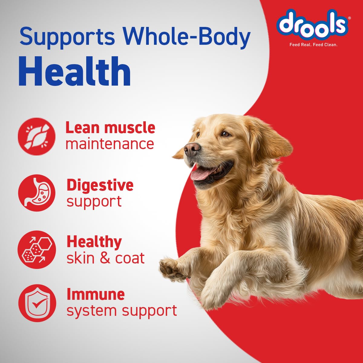 Drools Chicken & Egg Adult Dog Dry Food