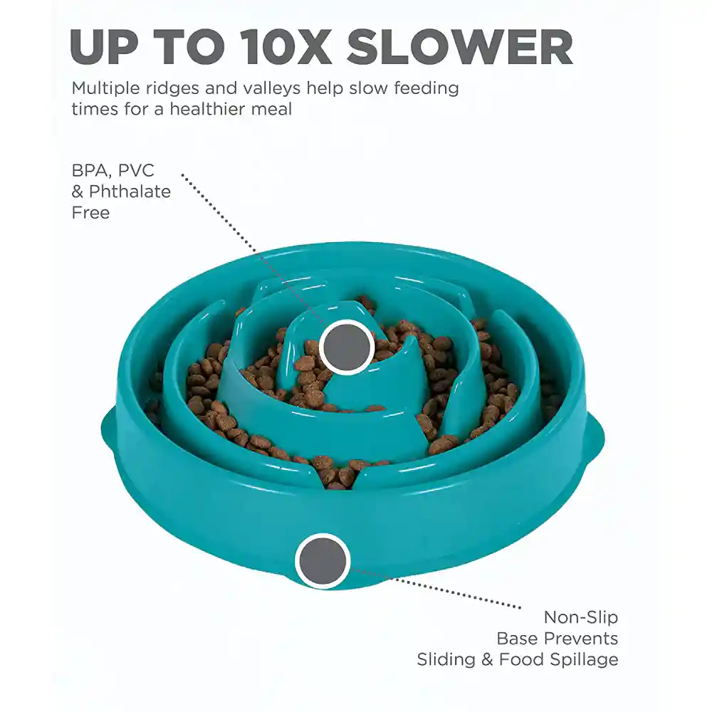 Outward Hound Mini Breed Slow Feeder Dog Bowl