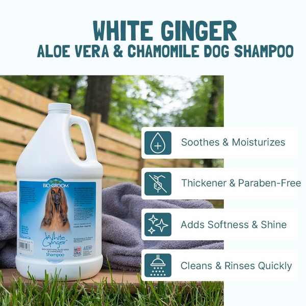 Bio-Groom White Ginger Shampoo