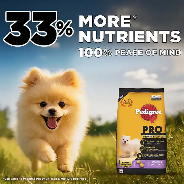 Pedigree PRO Expert Nutrition Small Breed Puppy (2 to 9 Months) Dry Food 1.2kg