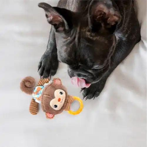 Barkbutler Fofos Puppy Monkey Toy for Dogs, 18 X 13 CM