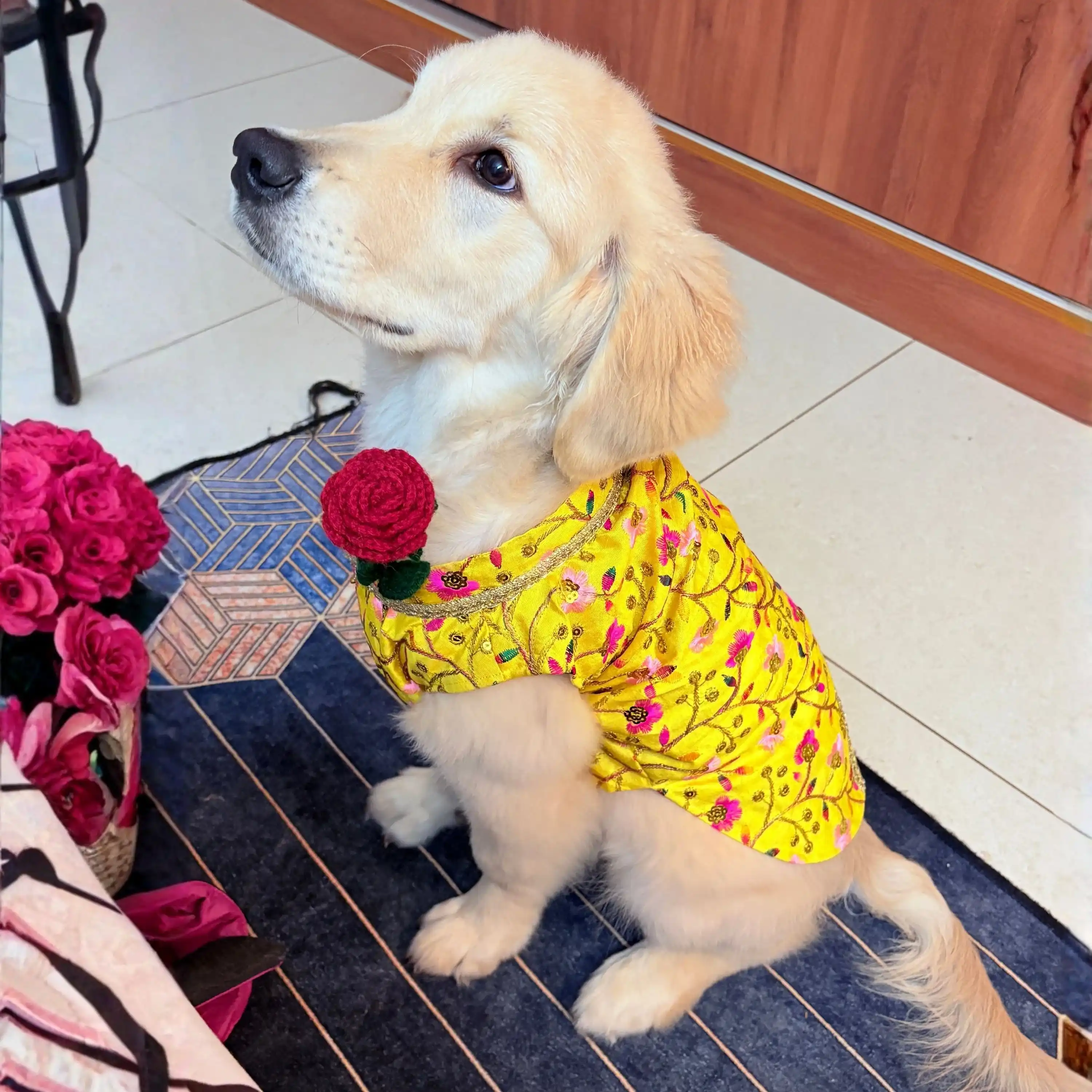 PawsIndia Traditional Marigold Yellow  Prince Kurta for Cats & Dogs