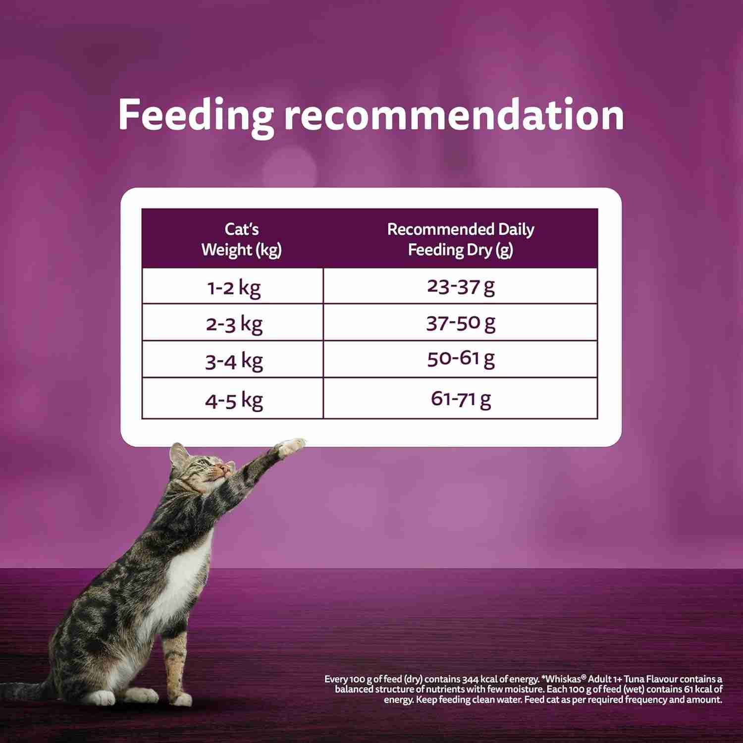 Whiskas Ocean Fish Flavour Adult Cat Dry Food