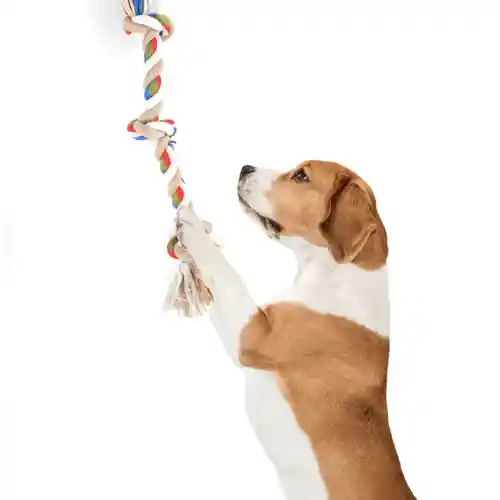 Barkbutler Fofos Flossy Three Knots Rope Toy for Dogs, 3 KNOTS