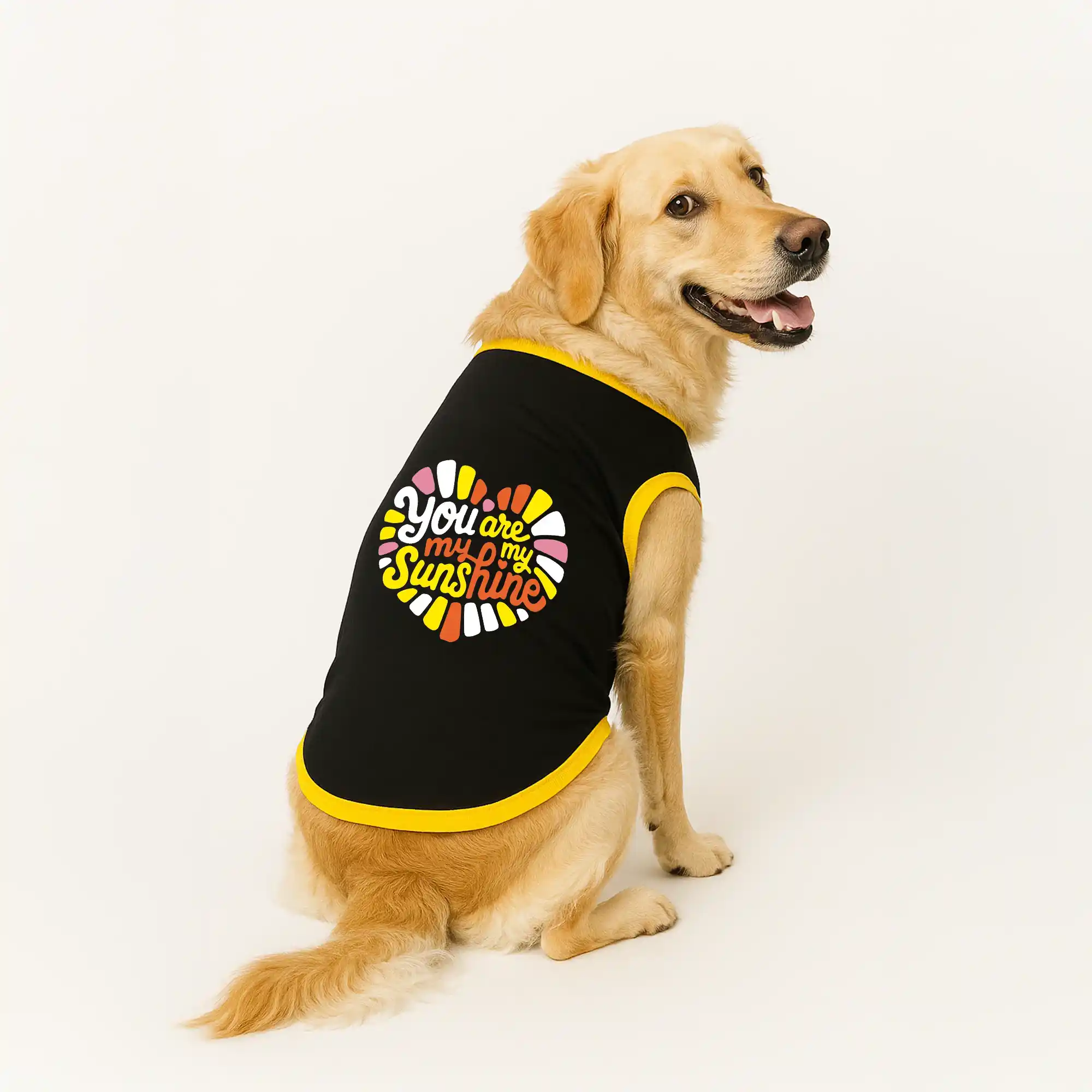 PawsIndia Ribbed Sleeves Printed Dog T-Shirt - You Are My Sunshine (Black)
