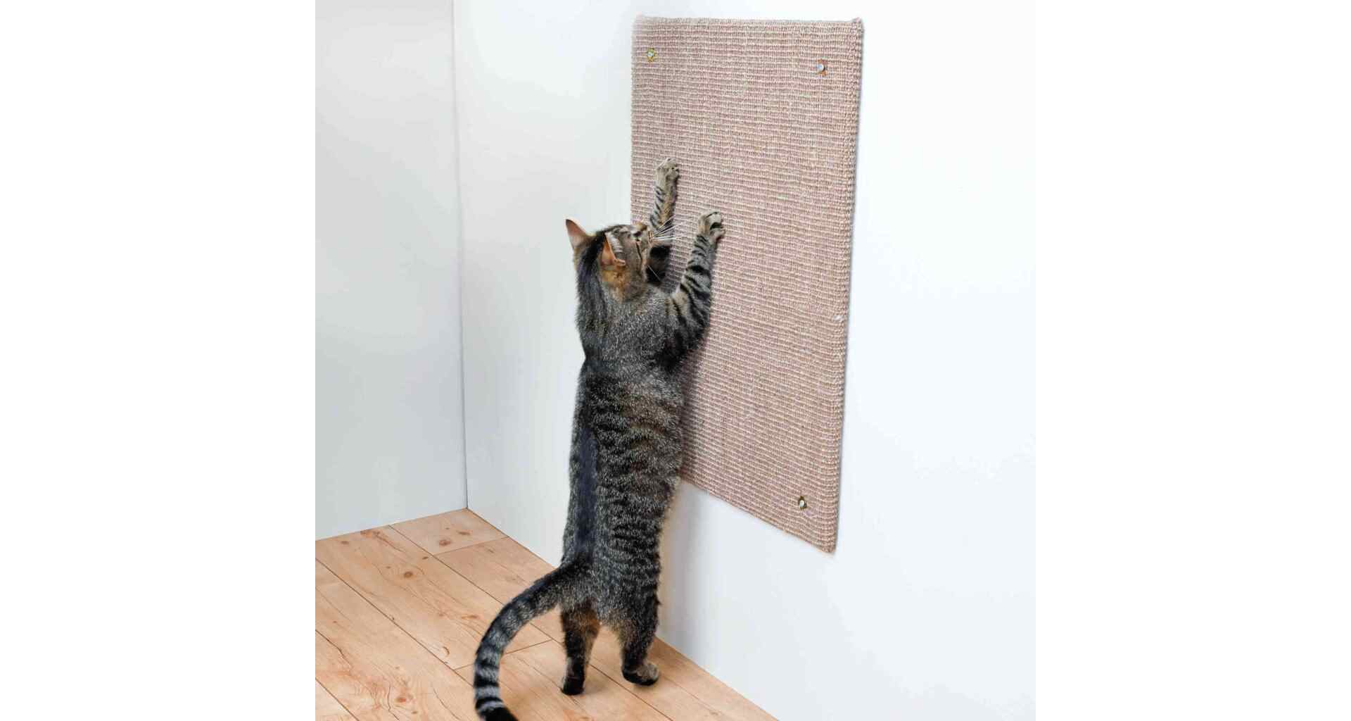 Trixie Scratching Board XXL for Cats Sisal Rug Catnip (50×70 cm, Taupe)