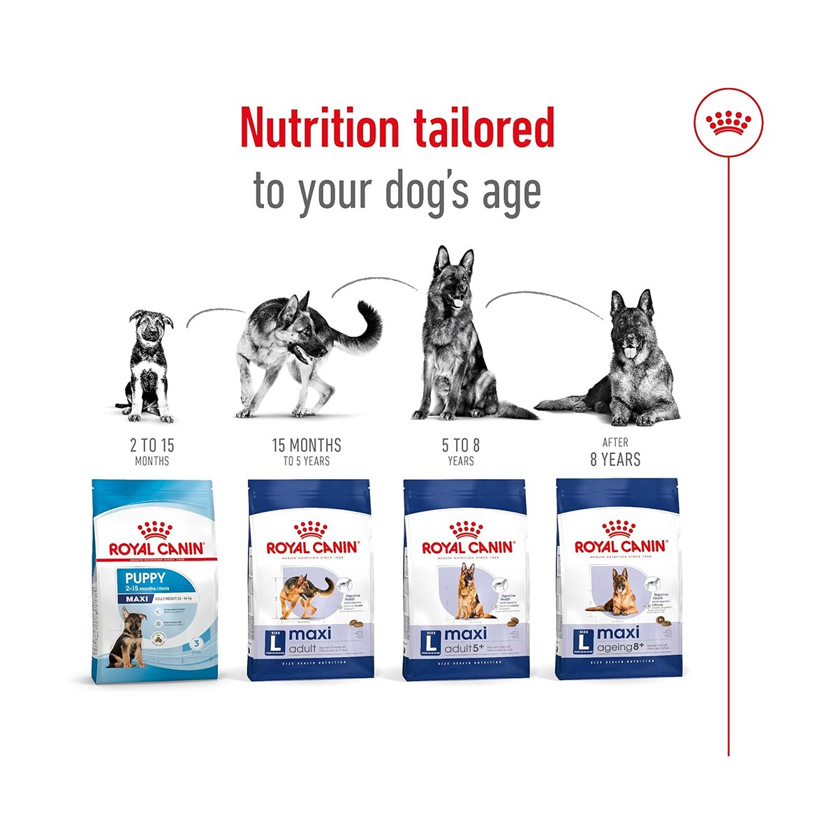 Royal Canin Maxi Adult Dry Dog Food