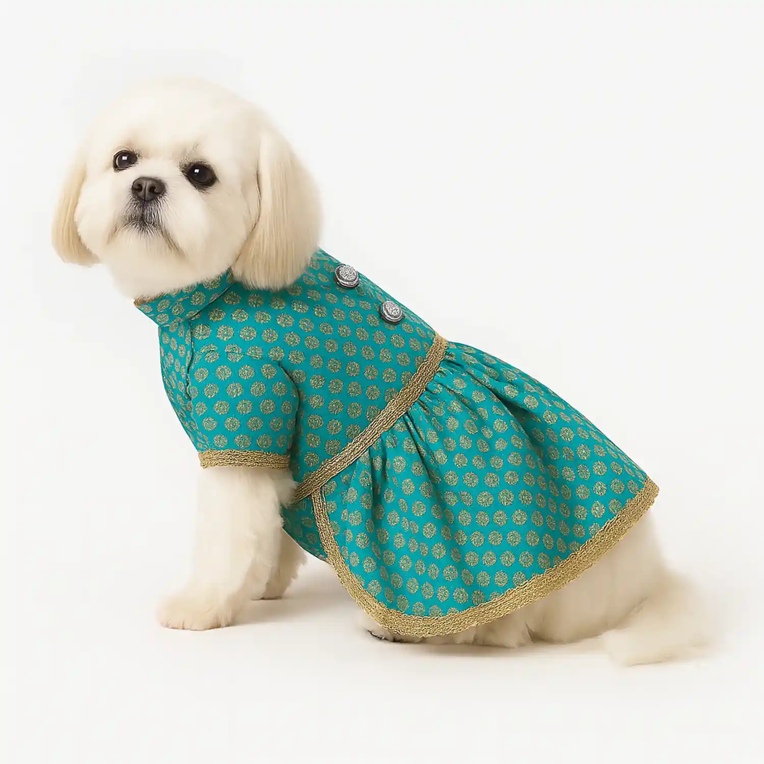 Pawsindia Traditional Royal Brocade Dress for Dogs - Aqua Green | Ethnic Festive Wear
