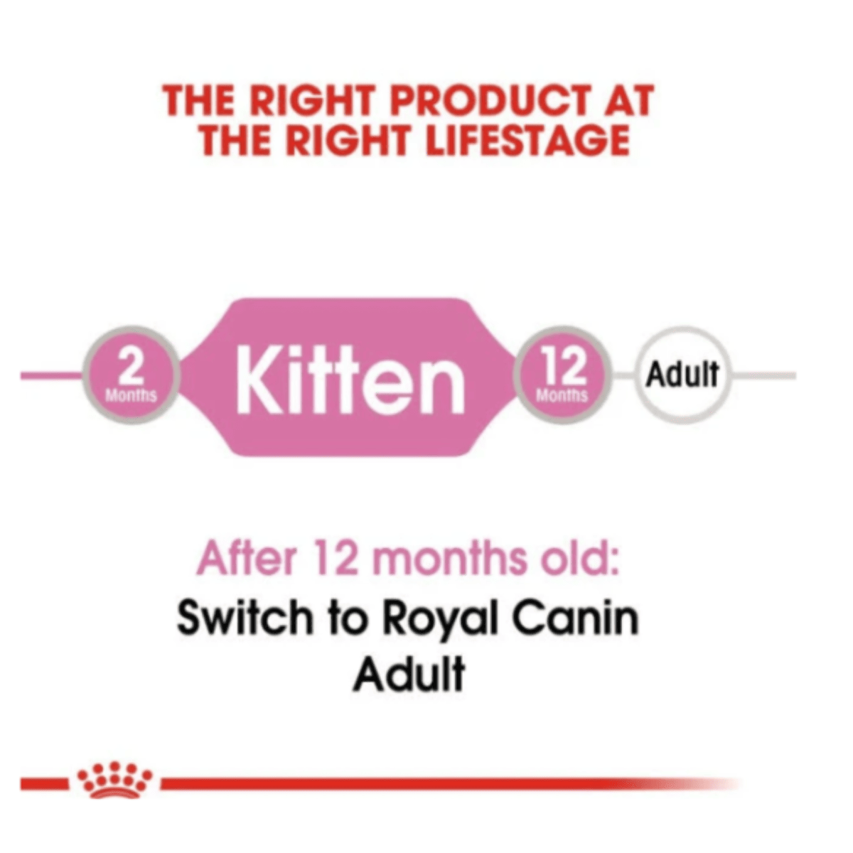 Royal Canin Chunks in Jelly Wet Kitten Food, 85g