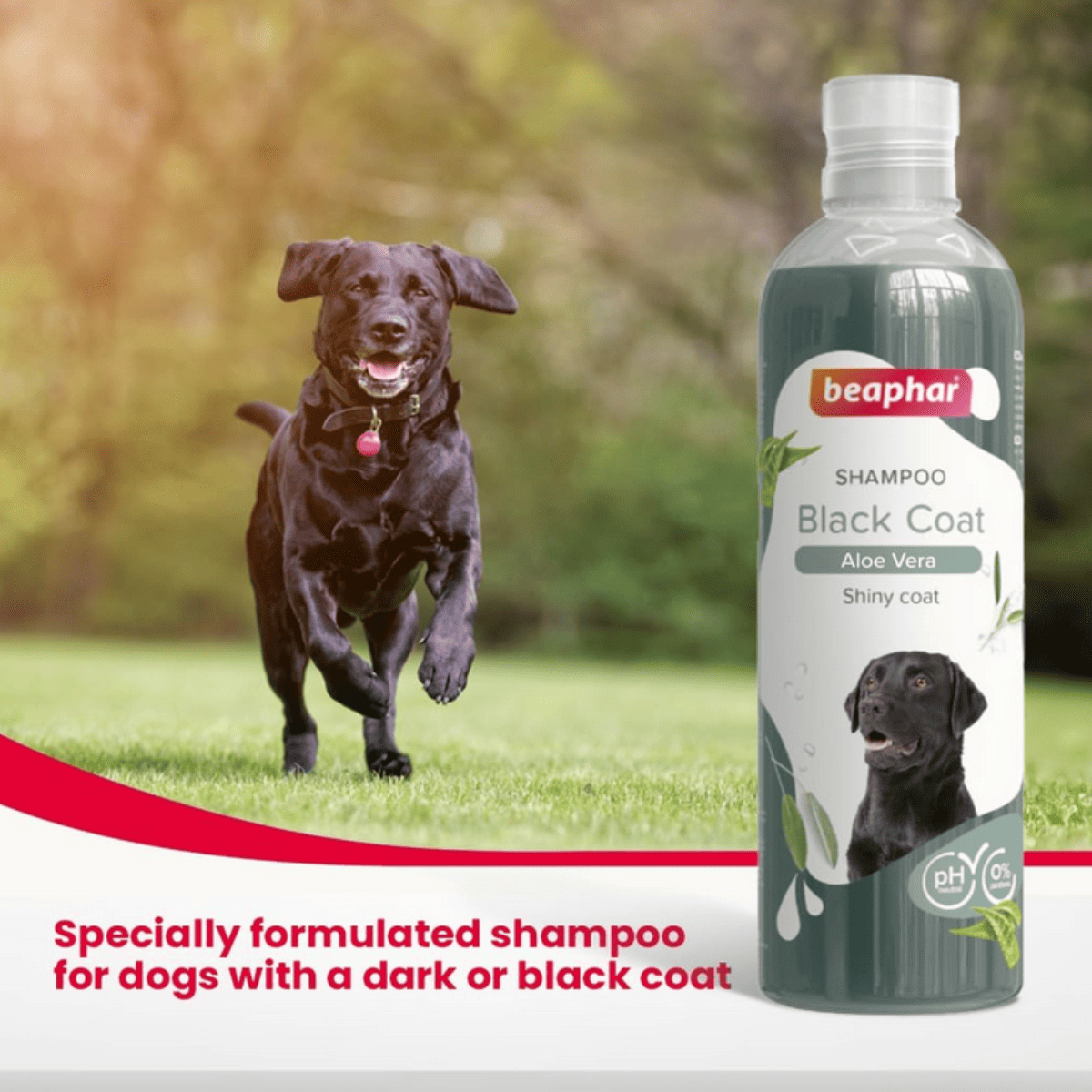 Beaphar Black Coat with Aloe Vera Dog Shampoo