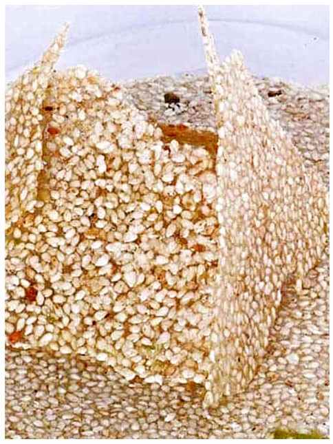 Dryfruits Tilpatti (Shri Shyam Tilpatti, Jaipur)