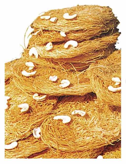 Fini - Meethi (Laxmi Mishthan bhandar, Jaipur)