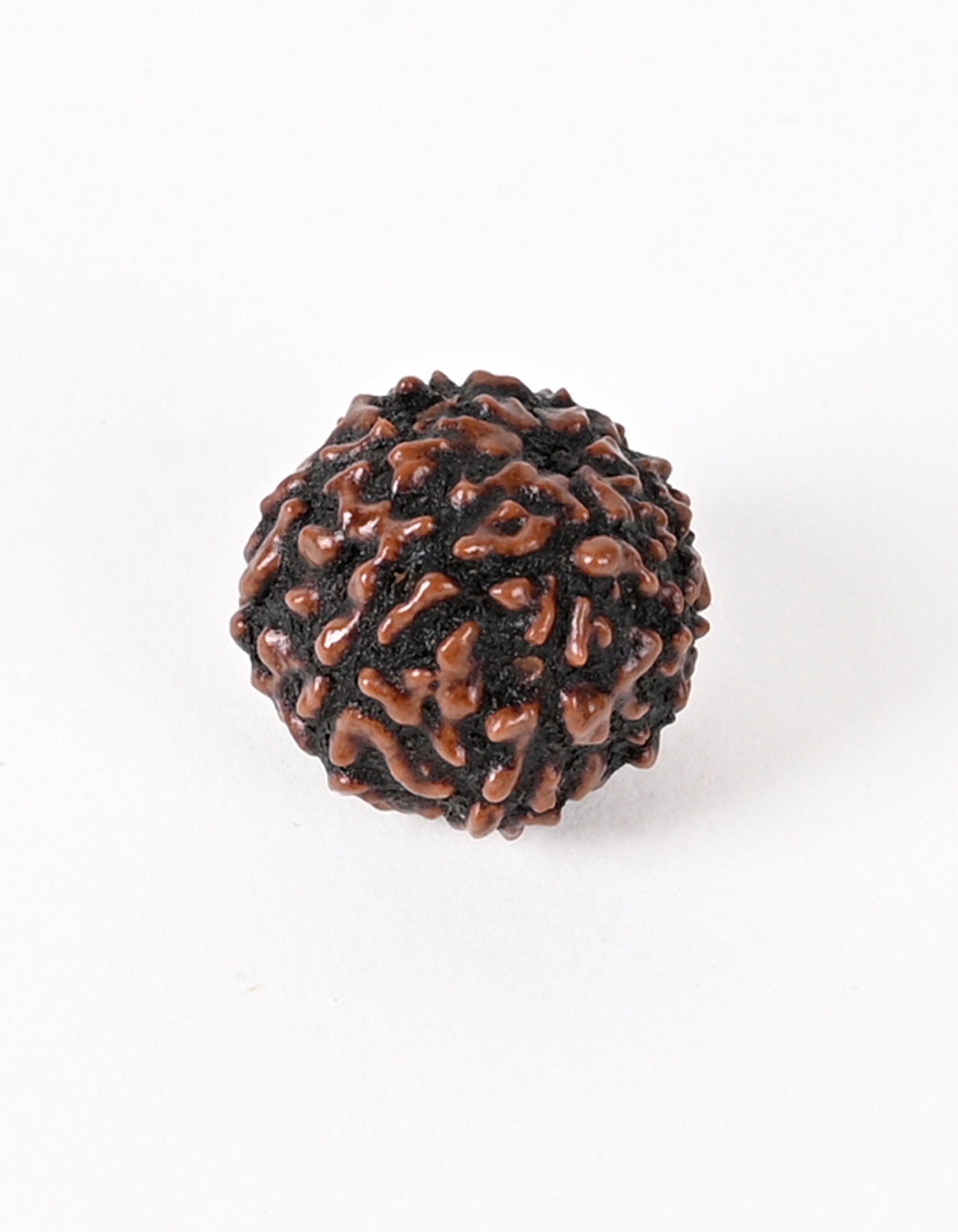 Shiv Ratan Kendra 7 Mukhi Indonesian Origin Rudraksha Beads - For Spiritual & Financial Gain