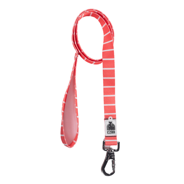 Ezra Digital Print Dog Leash - Assorted
