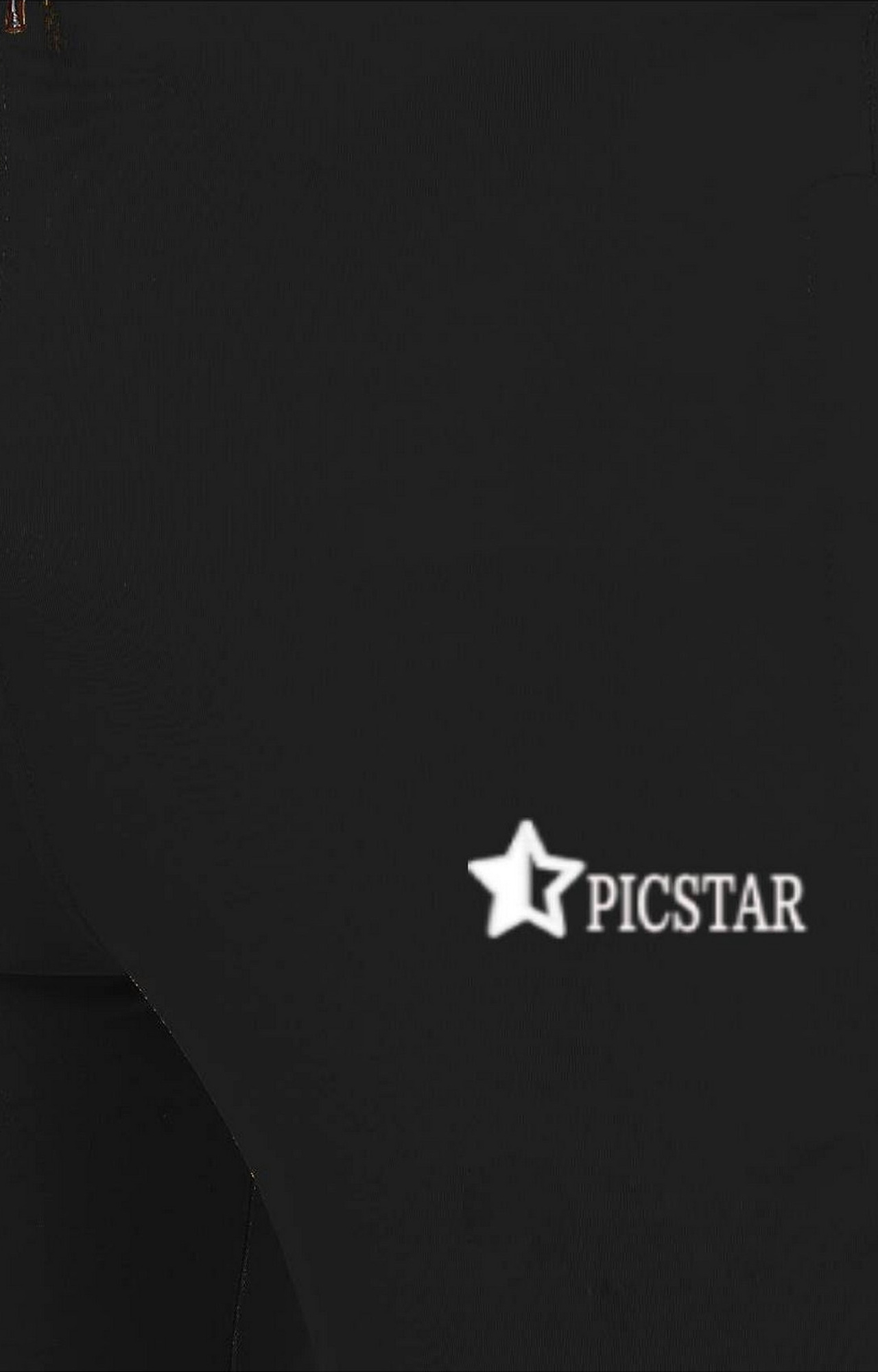 Picstar | Picstar Fox Black Men's Track pant 5