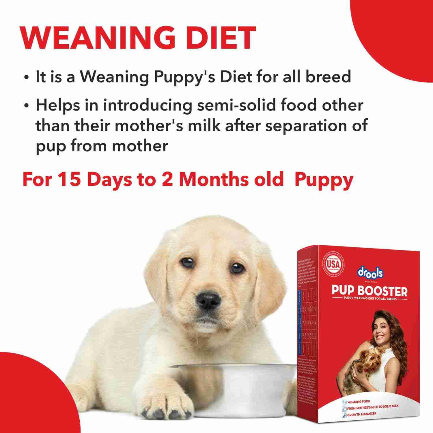 Drools Pup Booster for Dogs Weaning Diet, 300g