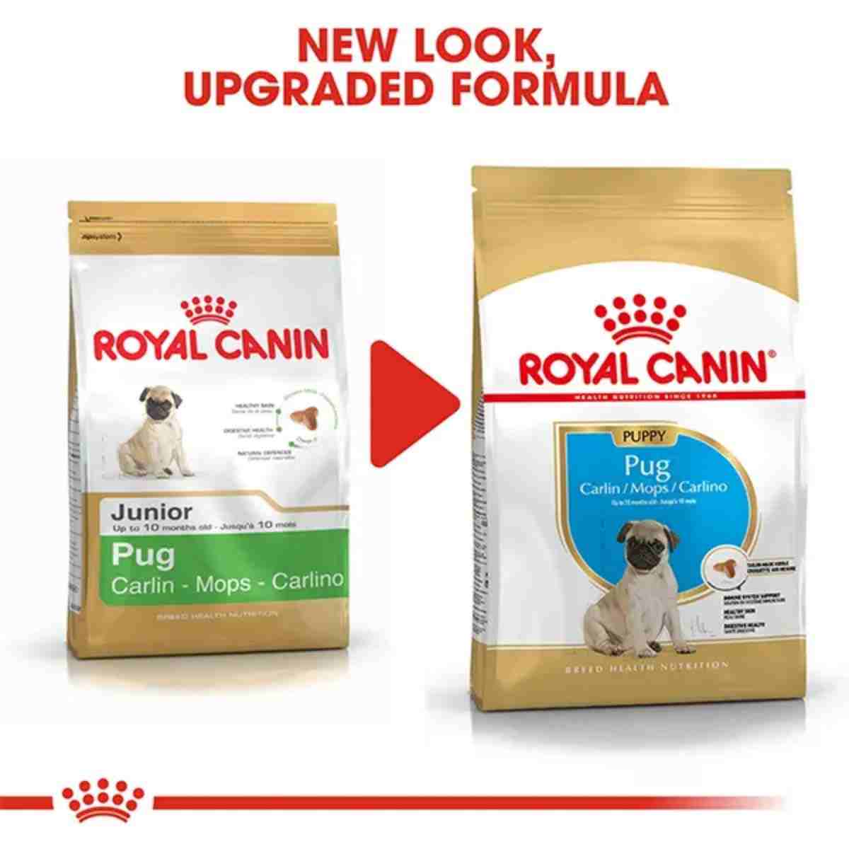 Royal Canin Pug Puppy Dry Dog Food
