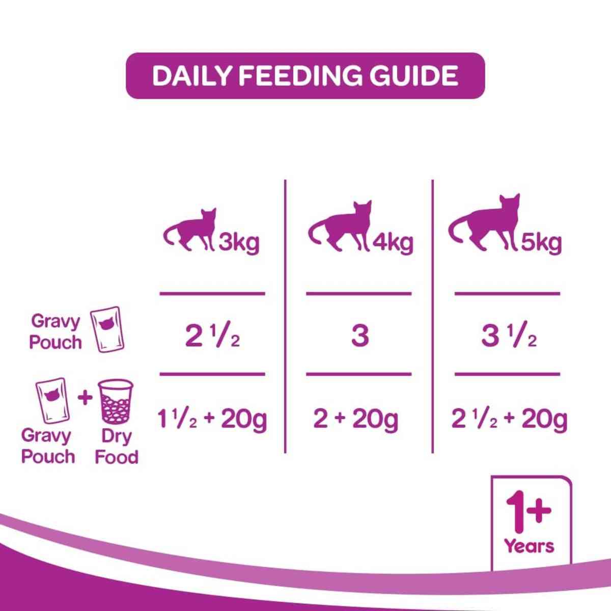 Whiskas Ocean Fish in Gravy Wet Adult Cat (+1 year) Food, 80g