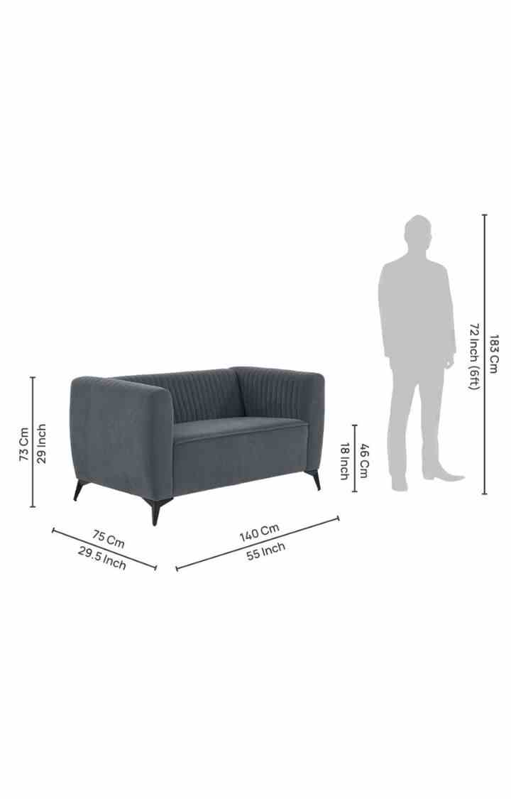 neudot Diva Sofa for Living Room |2 Persons Sofa|Premium Fabric with Cushioned Armrest | Solid Wood Frame|2 Seater in Graphite Grey Color