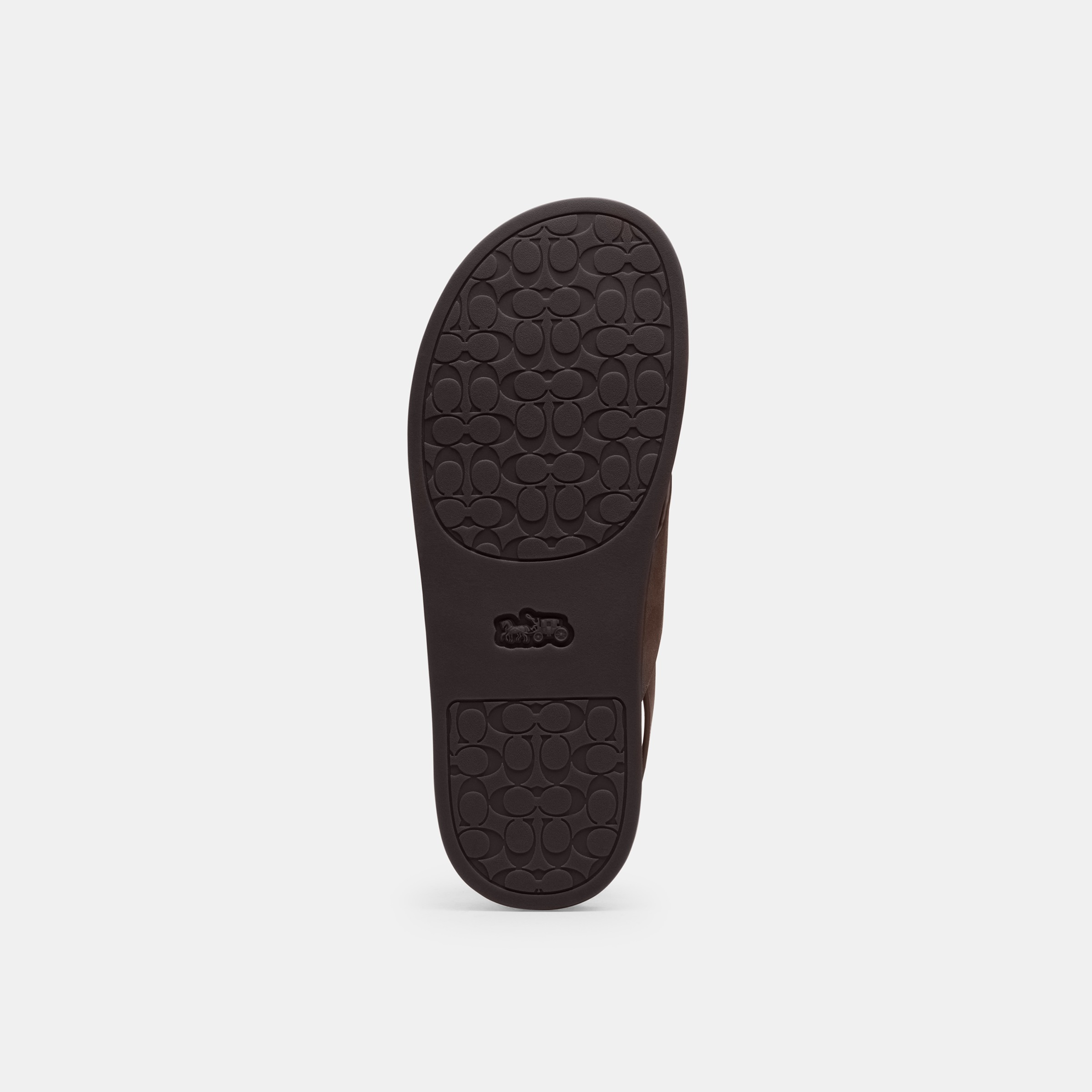 Sculpted C Criss Cross Sandal