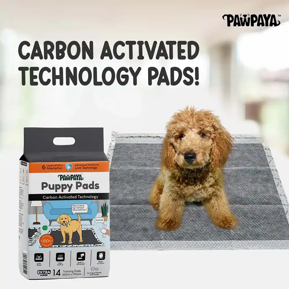 Pawpaya Carbon Training Pad for Dogs