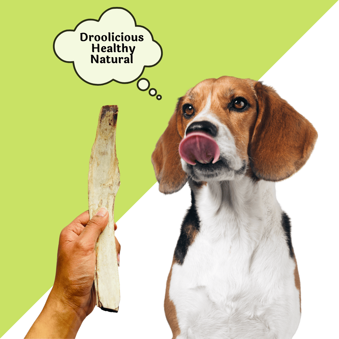 Buffalo ribs 2025 for dogs