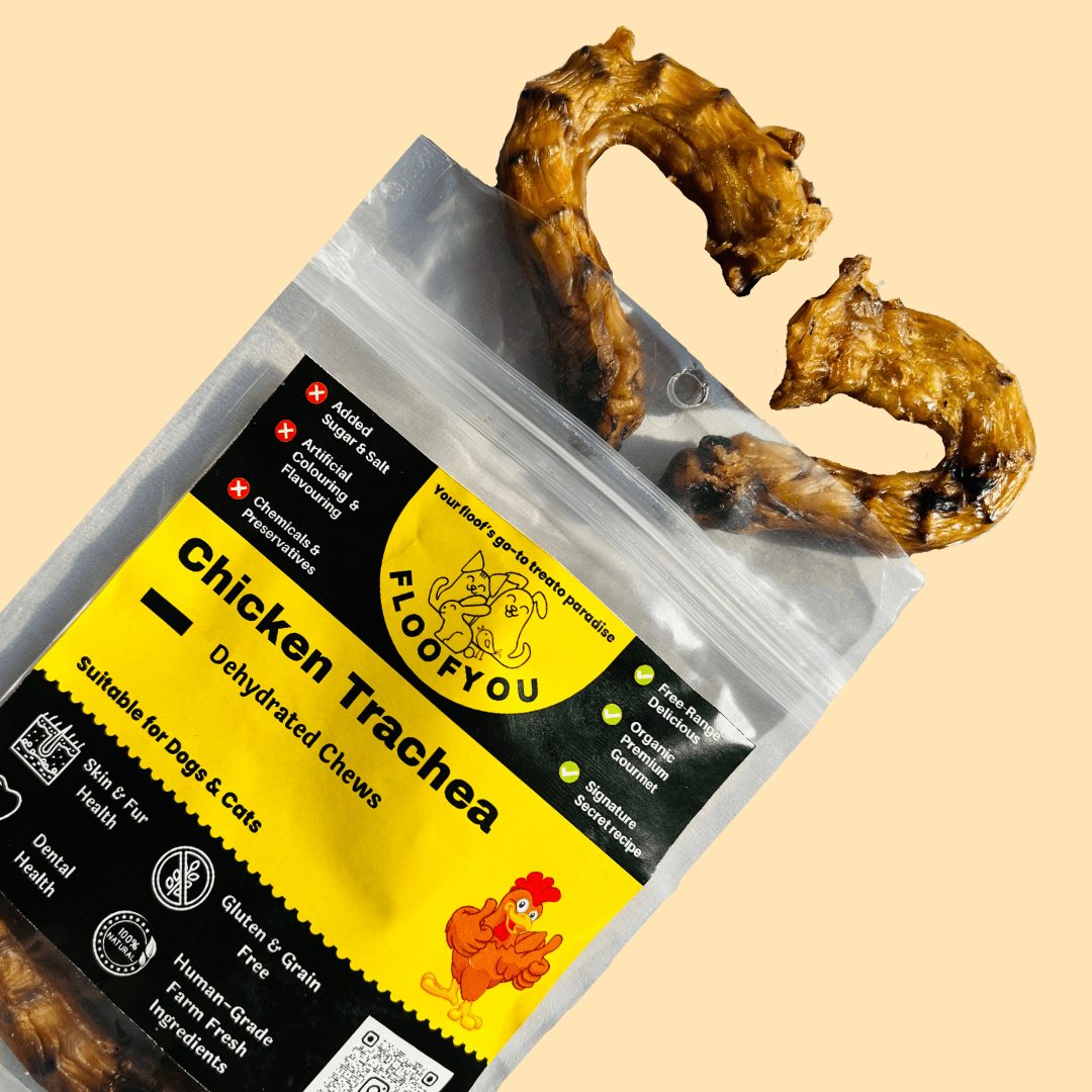 Dehydrated Chicken Trachea Neck Chew Natural Healthy Dog Treat