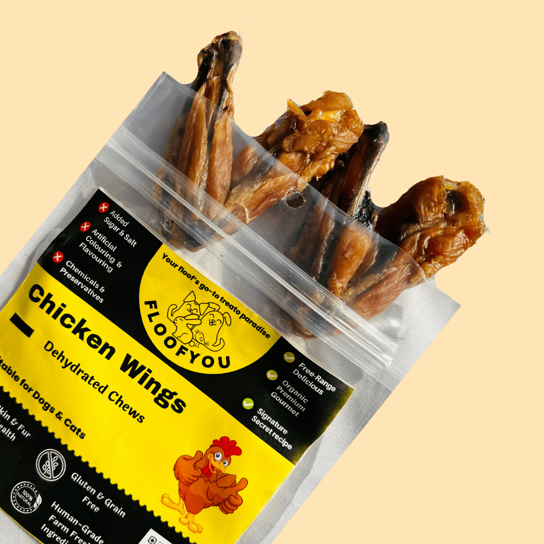 Dehydrated Chicken Wings Chew Natural Healthy Dog Treat