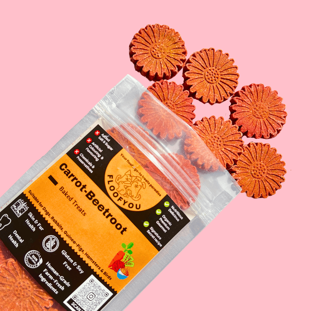 Carrot Beetroot Pure Veg Natural Healthy Dog Treat
