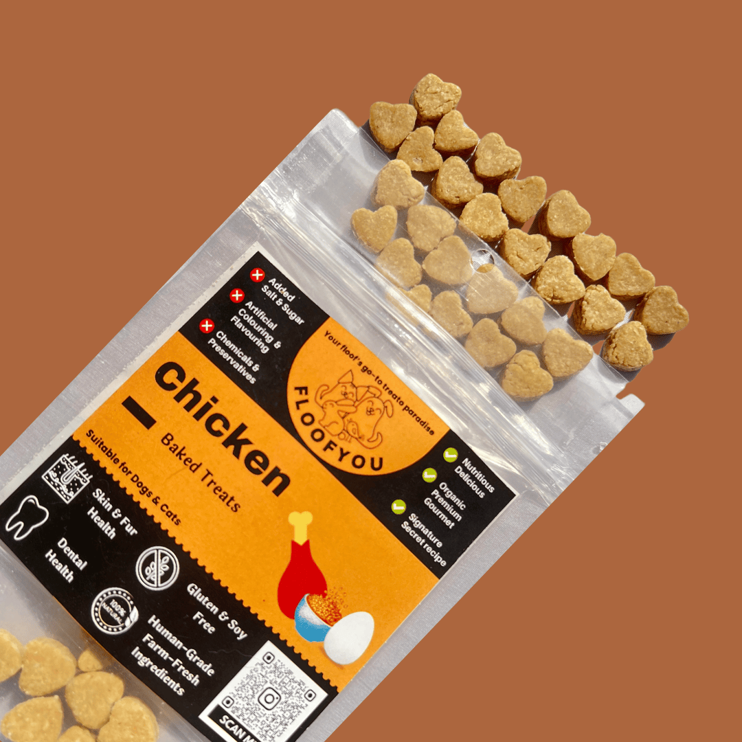 Chicken Small Bite-sized Natural Healthy Dog & Cat Treat
