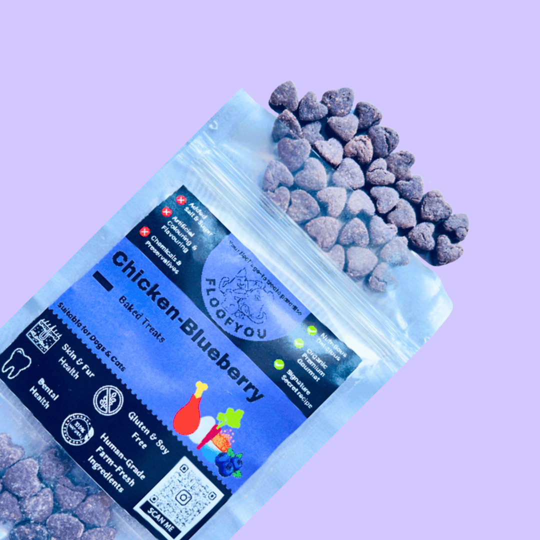 Chicken Blueberry Small Bite-sized Natural Healthy Dog & Cat Treat