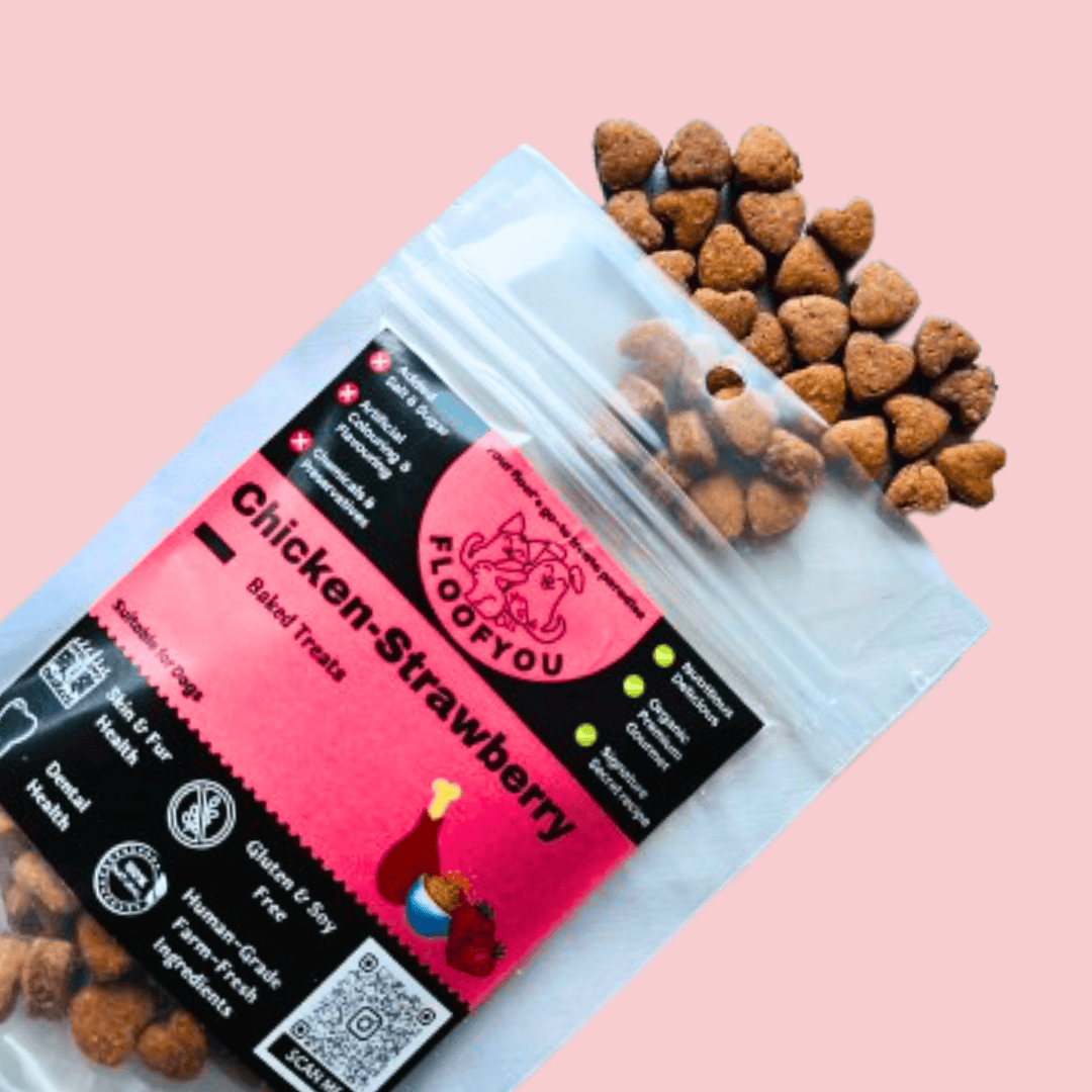 Chicken Strawberry Small Bite-sized Natural Healthy Dog & Cat Treat