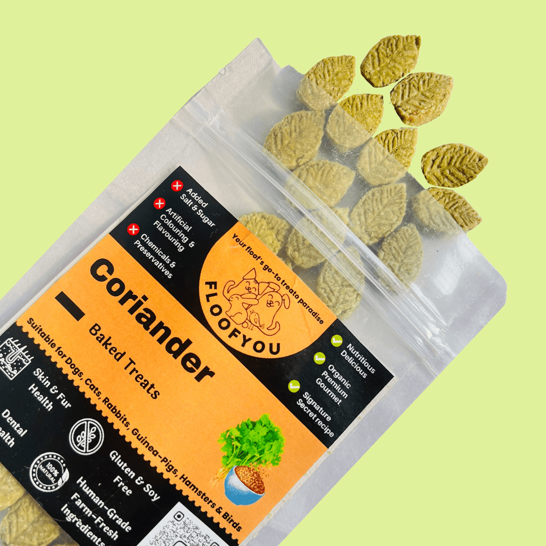 Coriander Pure Veg Natural Healthy Treat for Small Animals
