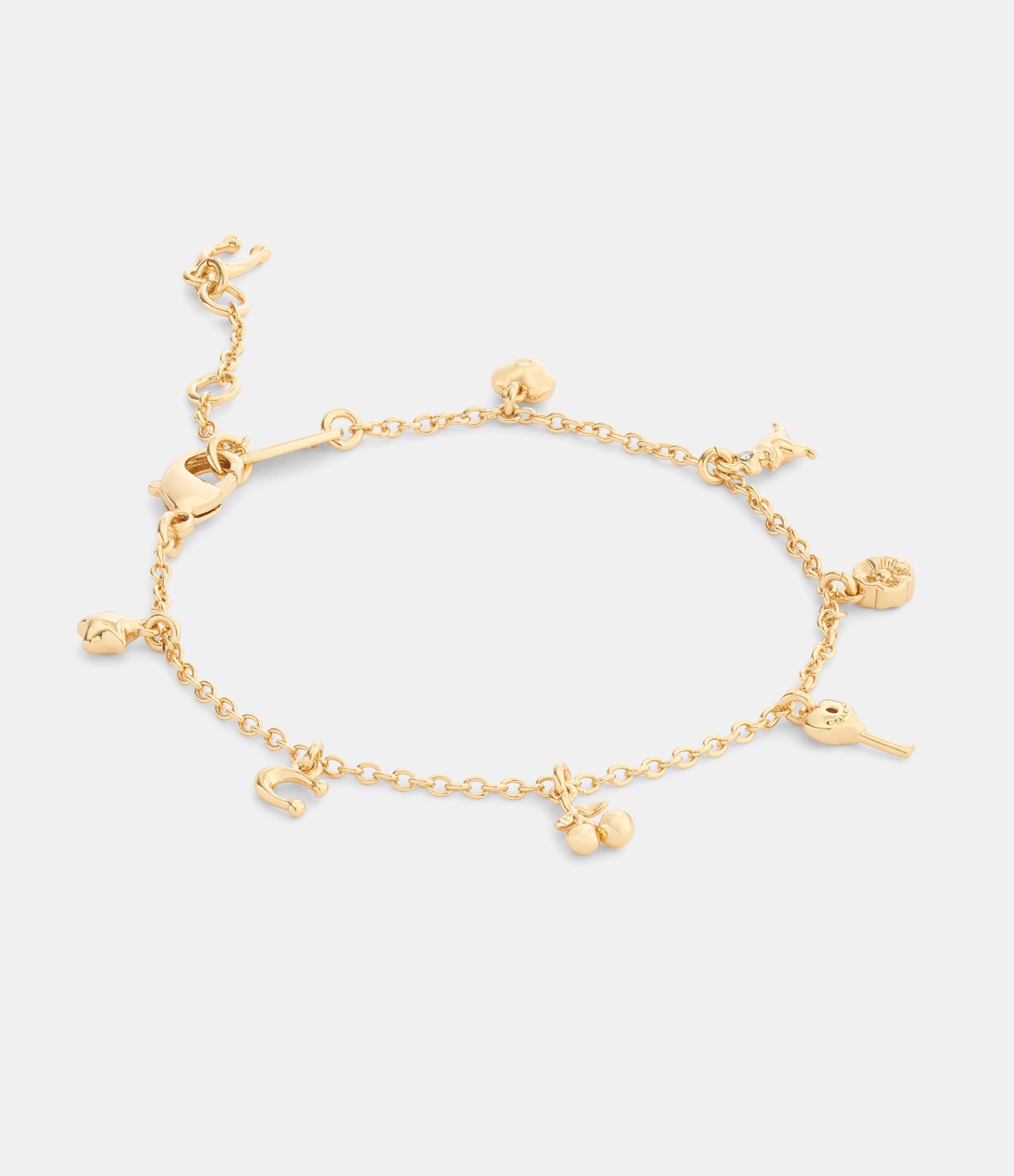 Charming Charms Signature Bracelet