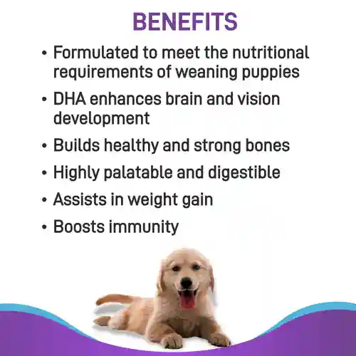 Canine Creek Pup Booster Puppy Food for All Breeds, 300g