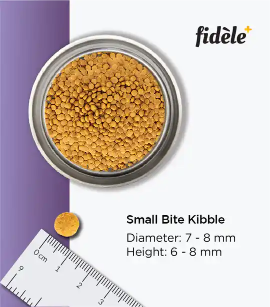 Fidele Plus Small & Medium Breed Adult Dry Dog Food